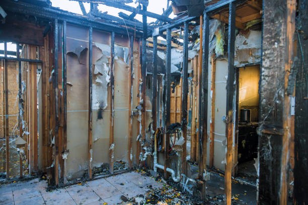 Professional Emergency Fire Cleanup technician working in Lake Riverside, CA
